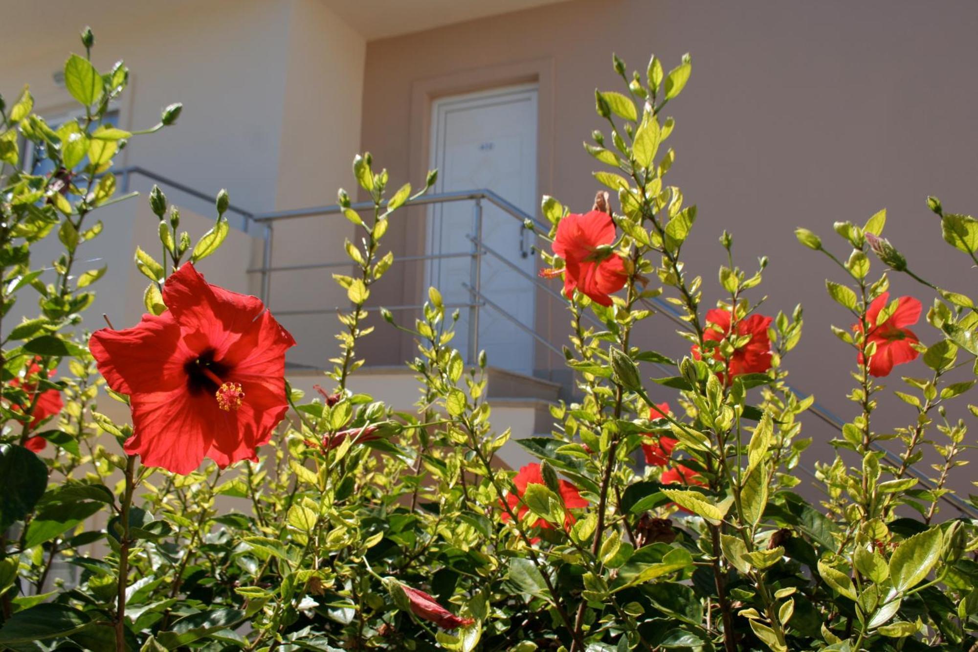 Amaryllis Front Beach Hotel 라도스 외부 사진