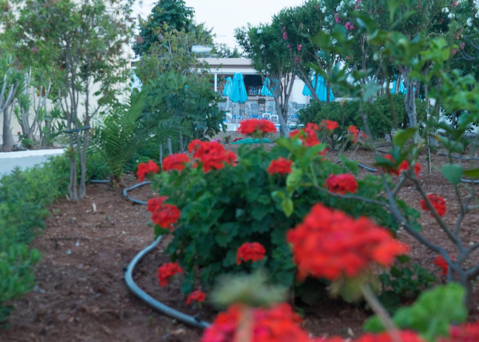 Amaryllis Front Beach Hotel 라도스 외부 사진